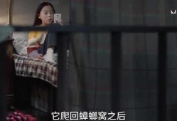 晨熙姐姐爆料视频播放在线观看