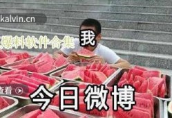 热门黑瓜爆料视频下载,独家下载与深度解析