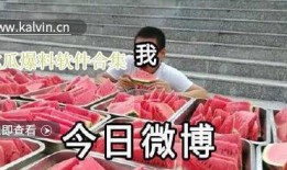 热门黑瓜爆料视频下载,独家下载与深度解析
