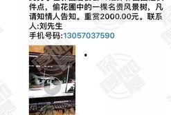 最新网友爆料视频大全集,最新网友爆料视频大全集深度解析