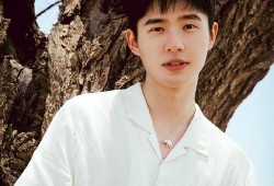 95后校草明星爆料视频,独家爆料背后的青春故事