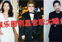 娱乐圈爆料大揭秘,明星幕后真相全曝光
